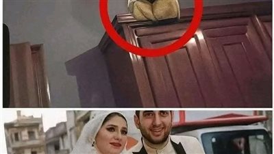 عروس الدقهلية