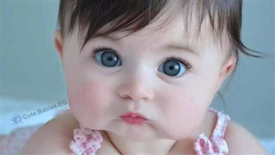قيود العشق بقلم دعاء احمد