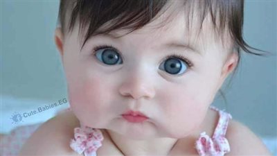 سكريبت انتقام منار بقلم سوليية نصار 