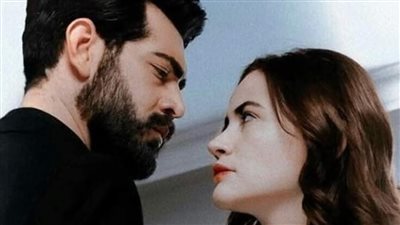 ابن زين الحريري بقلم سارة الحلفاوي